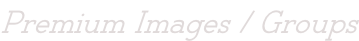 Premium Images / Groups